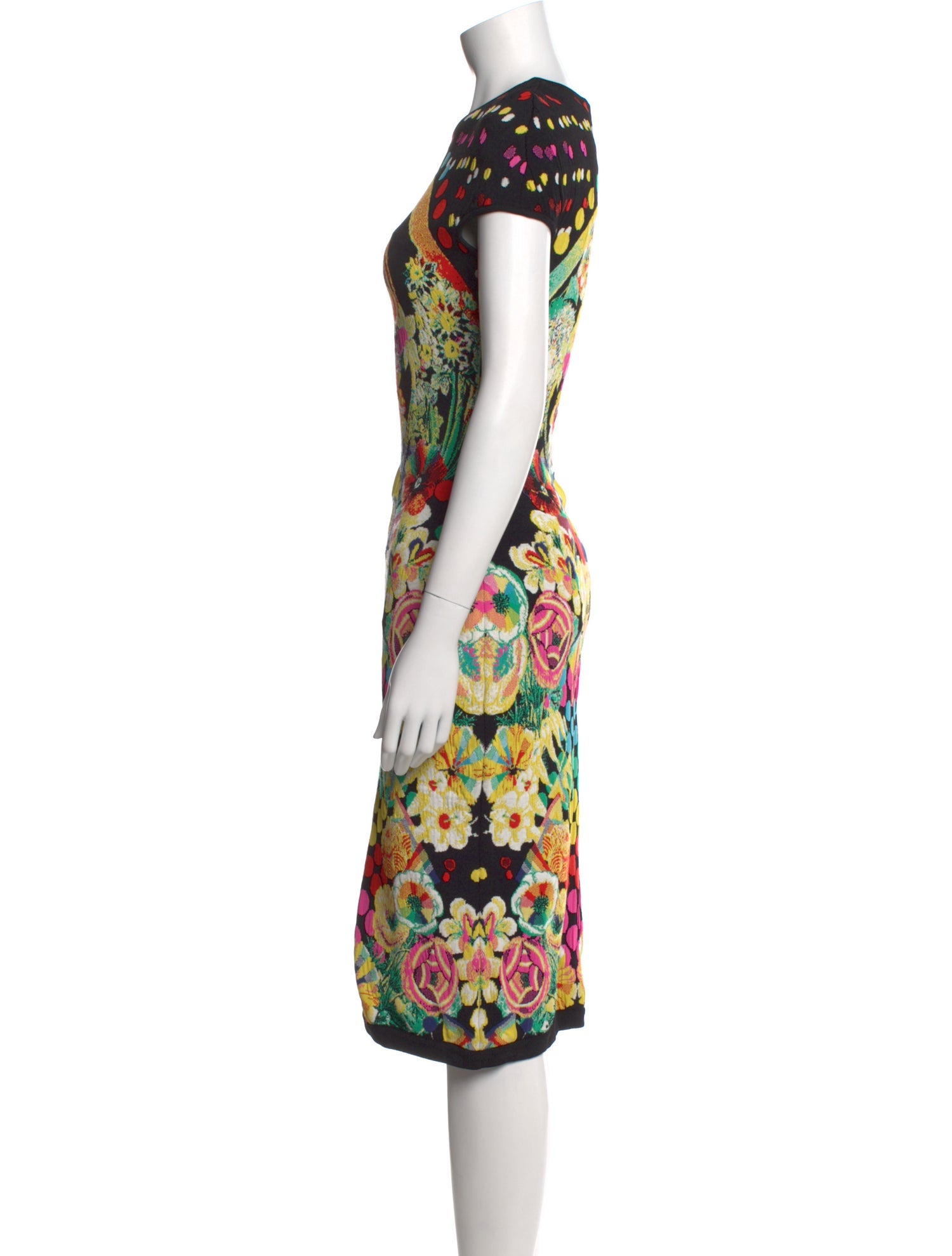 Mary Katrantzou Printed Midi Length Dress