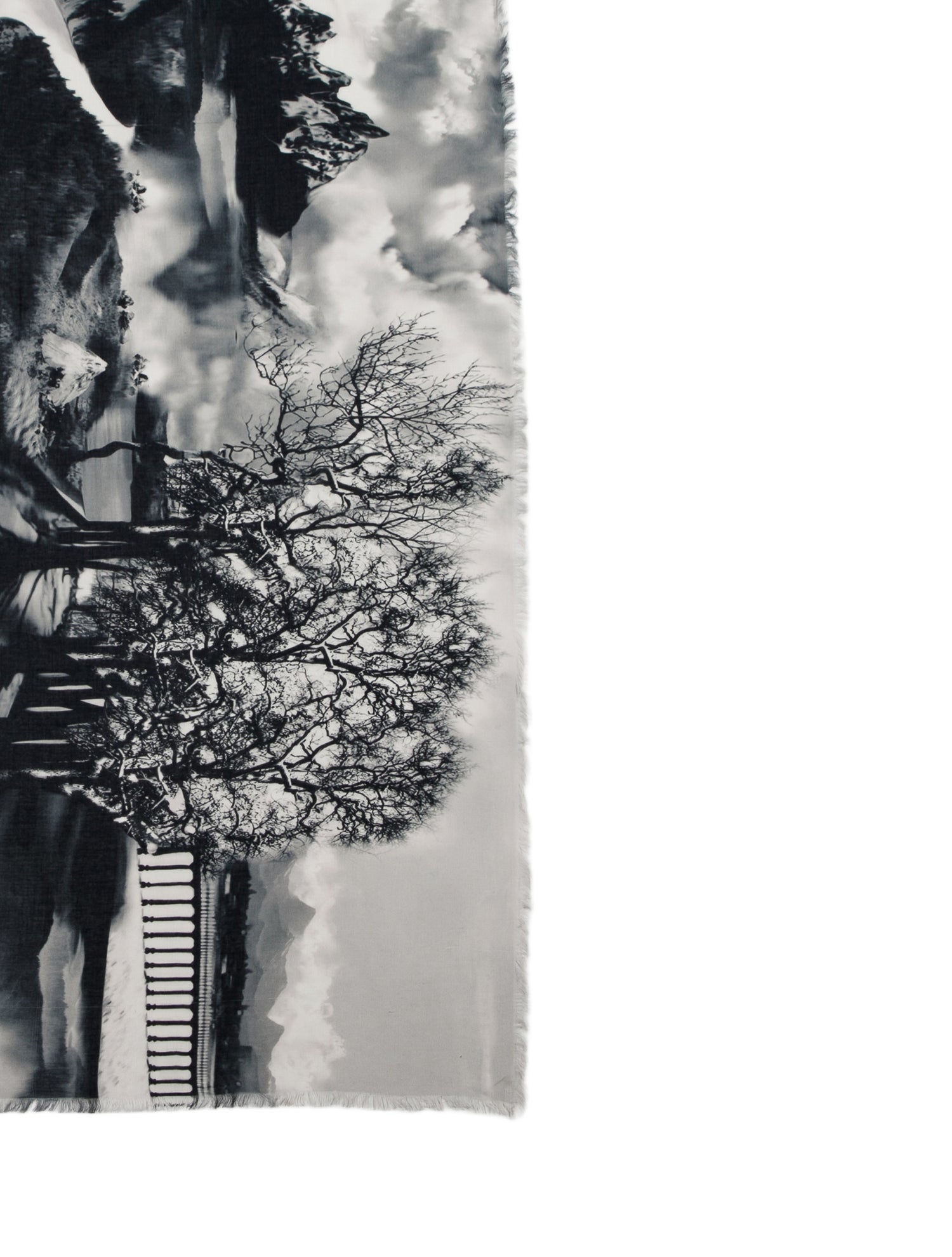 Mary Katrantzou Floral Print Scarf