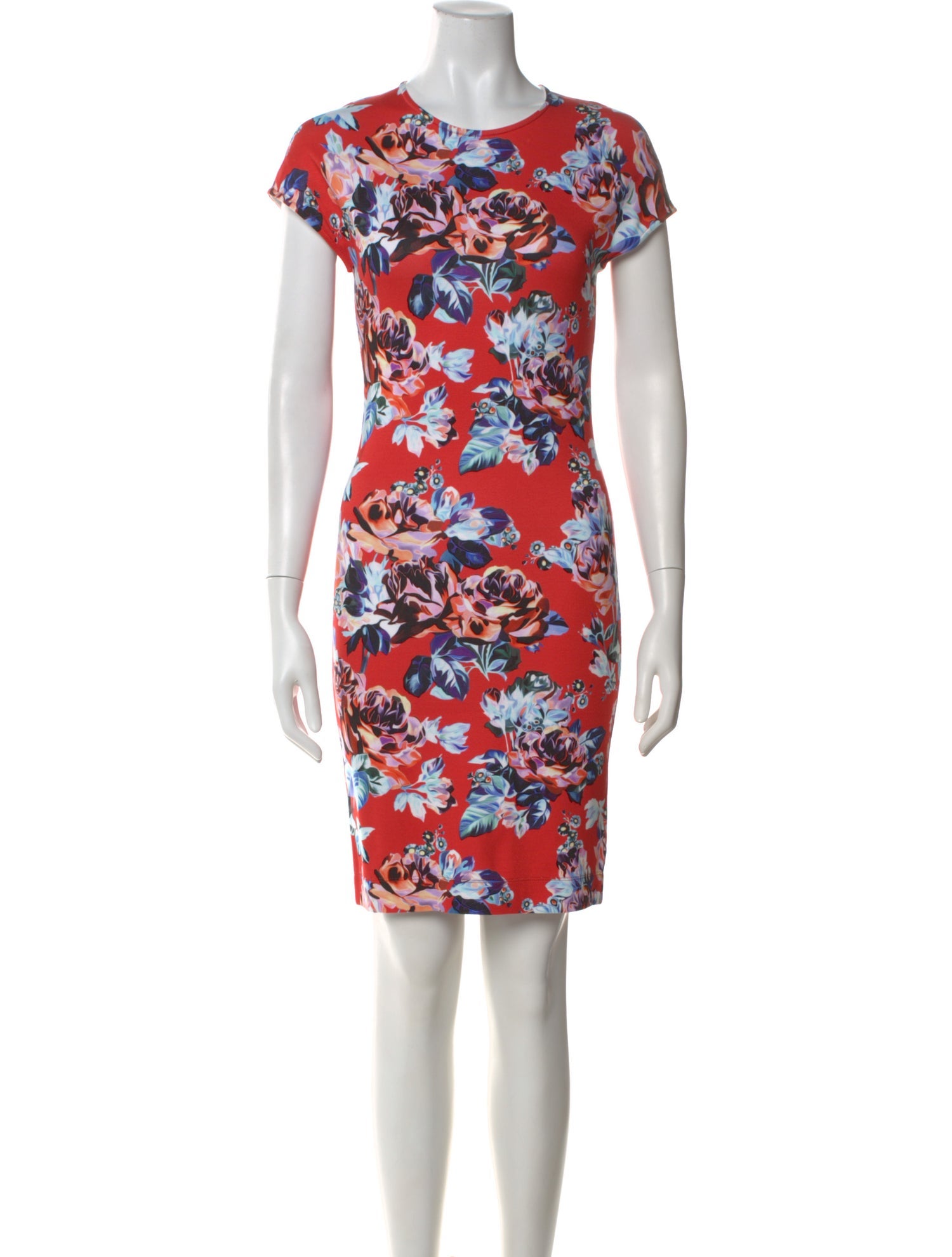Mary Katrantzou Floral Print Knee-Length Dress