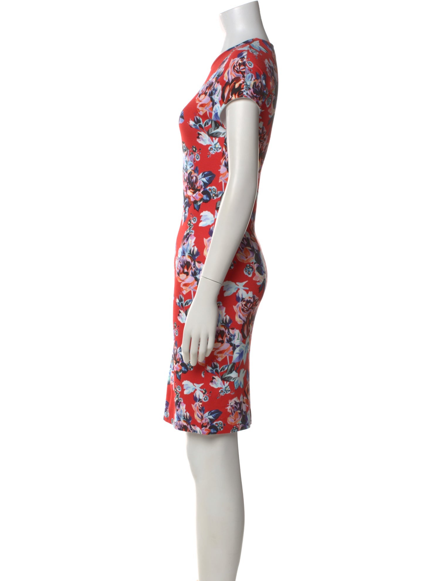 Mary Katrantzou Floral Print Knee-Length Dress