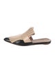 Marni Leather Fringe Trim Accent Mules