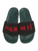 Marni Slides