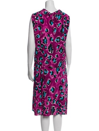 Marni Animal Print Skirt Set