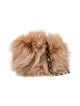 Michael Kors Fur Evening Bag