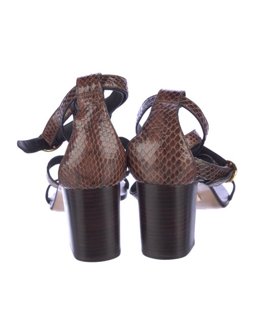 Michael Kors Collection Snakeskin Animal Print Gladiator Sandals