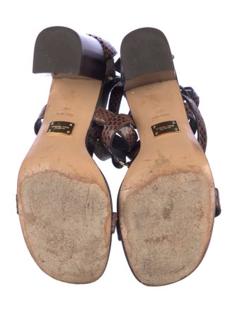 Michael Kors Collection Snakeskin Animal Print Gladiator Sandals