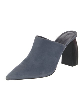 Mercedes Castillo Suede Mules