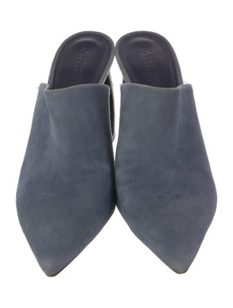 Mercedes Castillo Suede Mules