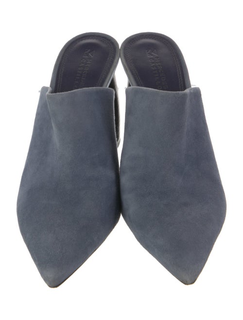 Mercedes Castillo Suede Mules