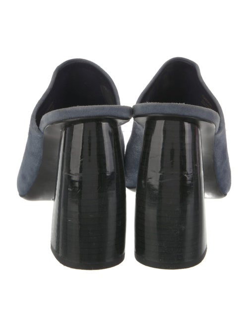 Mercedes Castillo Suede Mules