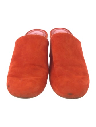 Mercedes Castillo Suede Mules