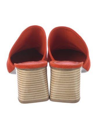 Mercedes Castillo Suede Mules