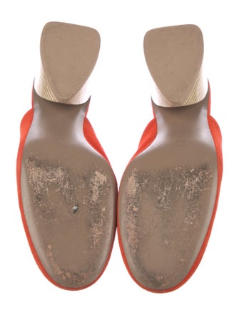 Mercedes Castillo Suede Mules