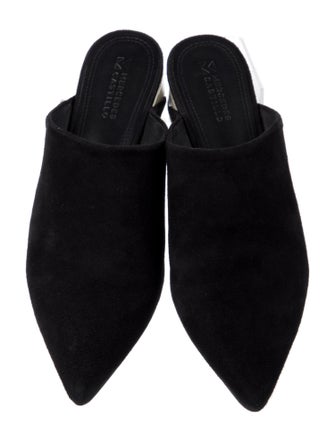 Mercedes Castillo Suede Mules