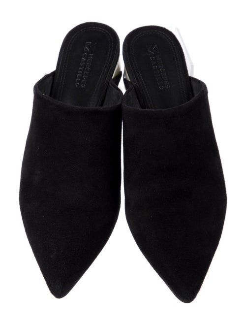 Mercedes Castillo Suede Mules