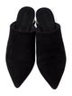 Mercedes Castillo Suede Mules