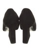 Mercedes Castillo Suede Pumps