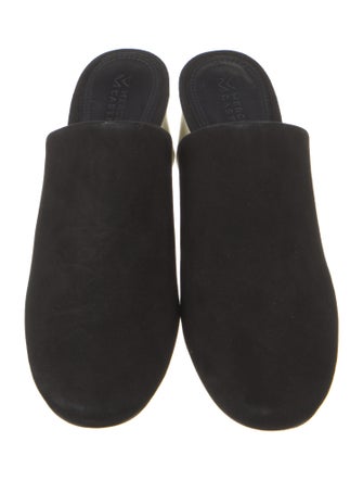 Mercedes Castillo Suede Mules