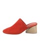 Mercedes Castillo Suede Mules