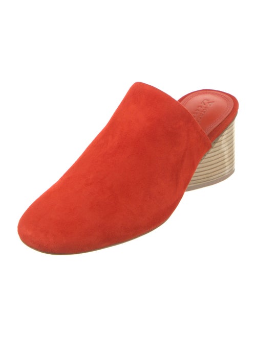 Mercedes Castillo Suede Mules