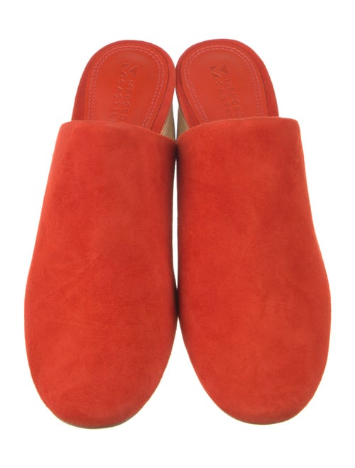 Mercedes Castillo Suede Mules