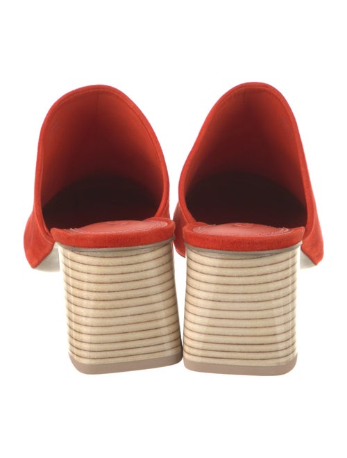 Mercedes Castillo Suede Mules