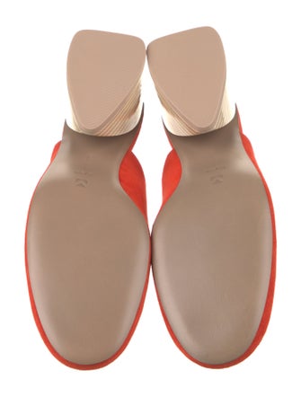 Mercedes Castillo Suede Mules