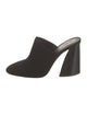 Mercedes Castillo Suede Mules