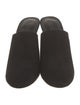 Mercedes Castillo Suede Mules