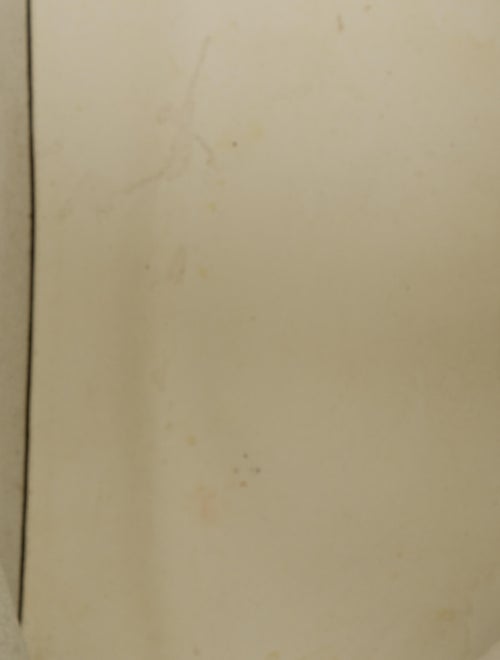 Michael Kors Saffiano Leather Tote Bag