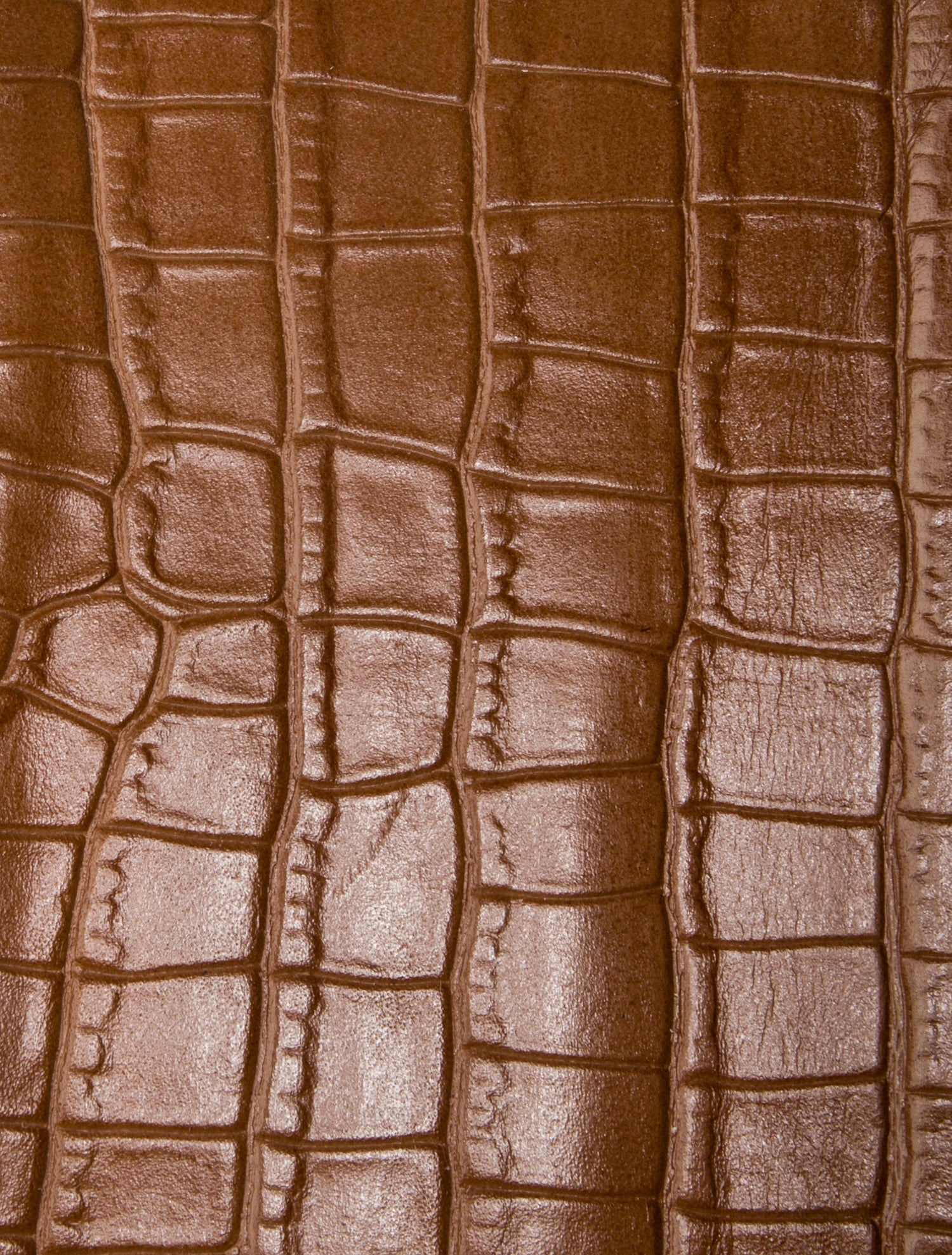 Michael Kors PVC Top Handle Bag