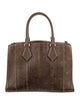 Michael Kors Snakeskin Top Handle Bag