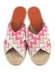Missoni Canvas Printed Espadrilles