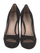 Miu Miu Suede Pumps