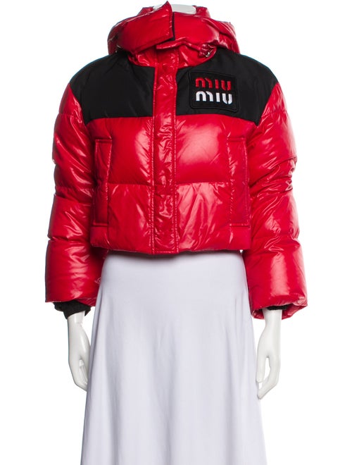 Miu Miu 2018 Down Jacket