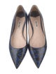 Miu Miu Leather Printed Flats