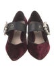Miu Miu Velvet Studded Accents Pumps