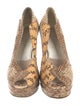 Miu Miu Snakeskin Animal Print Pumps