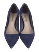 Miu Miu Suede Pumps