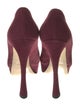 Miu Miu Suede Pumps