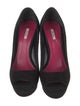 Miu Miu Suede Pumps
