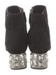 Miu Miu Suede Crystal Embellishments Boots
