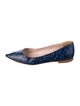 Miu Miu Leather Printed Ballet Flats