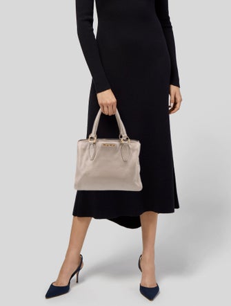 Miu Miu Leather Phenix