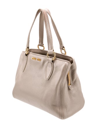 Miu Miu Leather Phenix