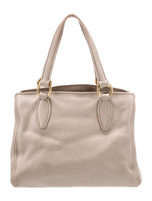 Miu Miu Leather Phenix