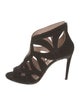 Miu Miu Suede Cutout Accent Pumps