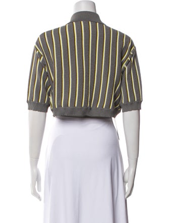 Miu Miu 2015 Striped Crop Top