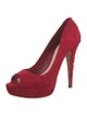 Miu Miu Suede Pumps