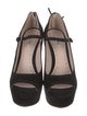Miu Miu Suede Pumps
